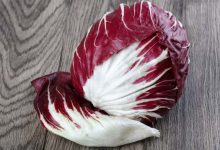 radicchio rosso