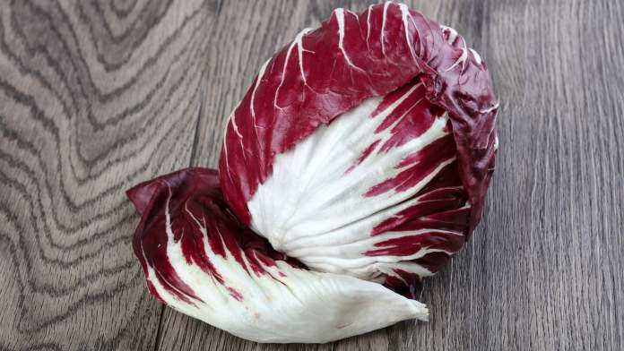 radicchio rosso